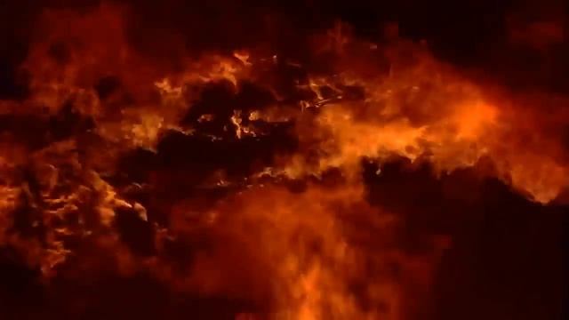 Свершившееся пророчество о Зеленском