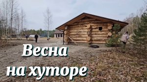 Жена вернулась! Из города уехали в лес. Тишина и море работы. Весна на хуторе начинается так.