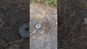 первые весенние работы 2026