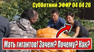 Мать гигантов раскрывает секреты! запись эфира 04 04 2026