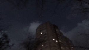 24 часа в домике на дереве