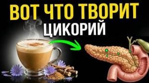 ДАЖЕ ПОДЖЕЛУДОЧНАЯ......Мало кто знает об этом....Вот что творит Цикорий