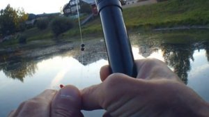 Рыбалка на поплавок на реке и озере на красного и белого опарыша с чесноком