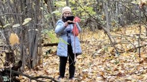 Тихая охота. Осень 17октября