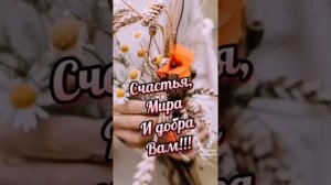 Полынь трава.