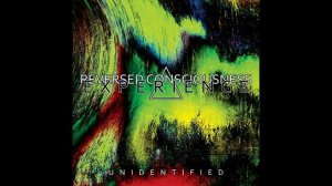 REVERSED CONSCIOUSNESS EXPERIENCE - Unidentified (превью)