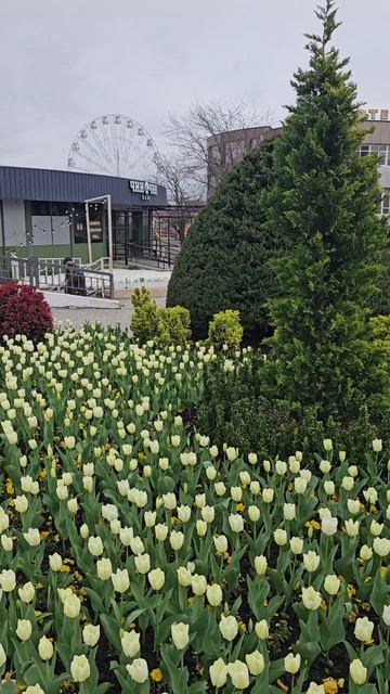 Анапа сейчас — редкая возможность насладиться тишиной и уютом курорта без летней суеты