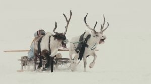 "ПОСЛЕДНИЙ МАМОНТ" трейлер фильма 2026