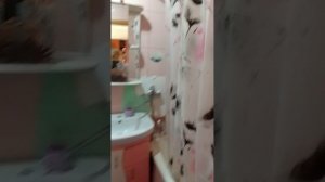 VID_20260405_094211.mp4