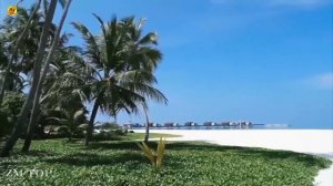 Dogg Scar - Don't Leave (Original Mix)