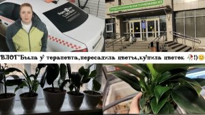 ВЛОГ"Была у терапевта, пересадила цветы,купила цветок 🥀!)😊"