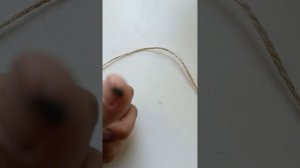 играю с живыми насекомыми2