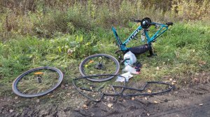 Неудачная поездка на велосипеде. Бревет 240 км. Курган - Юргамыш -  Каргаполье - Курган.