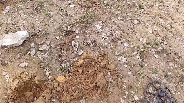 Выгулял Легенду. Выпуск #25.