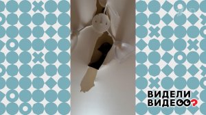 Соболь на потолке. Видели видео? Фрагмент выпуска от 05.04.2026