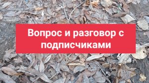 Хочу узнать мнение подписчиков!