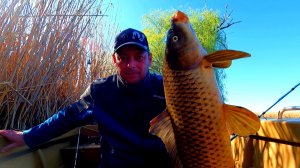 В АСТРАХАНИ ПОШЛА ВОБЛА Но сазаны и лещи тоже радуют