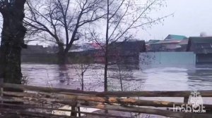 Половодье в шилокше