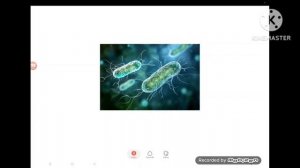 Какое царство животных превосходит всех