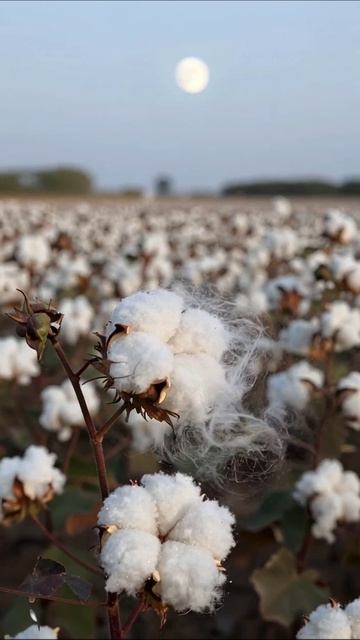 Звезда в огнях: путешествие в мир технологий #искусство #технологии #дизайн