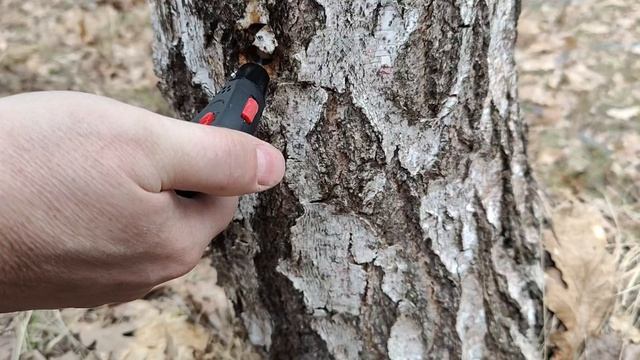 Берёзовый сок | Рутуб | Вопрос о переименовании канала