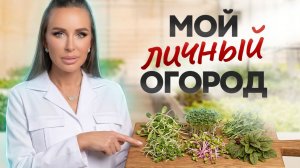 Микрозелень на подоконнике за 5 дней — мой личный опыт выращивания