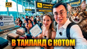 ПАТТАЙЯ 2026: Встречаем друзей в аэропорту, огромный кот и секретный рынок при храме! 🌴