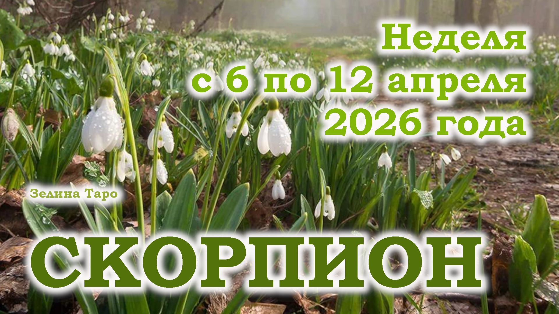 СКОРПИОН | ТАРО прогноз на неделю с 6 по 12 апреля 2026 года