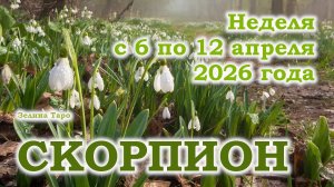 СКОРПИОН | ТАРО прогноз на неделю с 6 по 12 апреля 2026 года