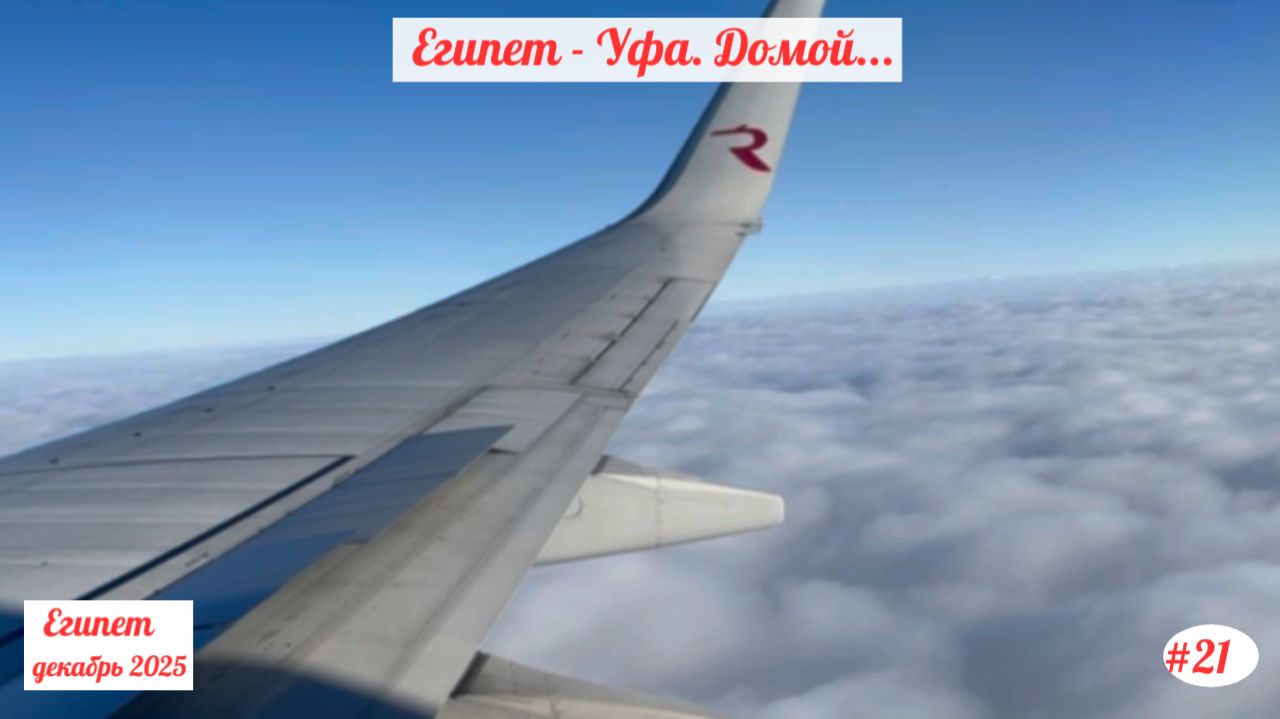 Отдых в Египте | Египет - Уфа |  Декабрь 2025 | Часть 21.