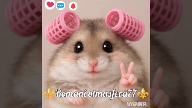 👑💥Новая песня💥👑 ⚜️2026⚜️ I Got You (I Feel Good)Утром чтобы разбудить 😂😂  ашунэнти пэ зорэс 🎵