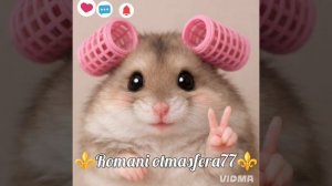 👑💥Новая песня💥👑 ⚜️2026⚜️ I Got You (I Feel Good)Утром чтобы разбудить 😂😂  ашунэнти пэ зорэс 🎵