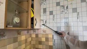 Уничтожение вредителей | Борьба с тараканами, клопами, грызунами