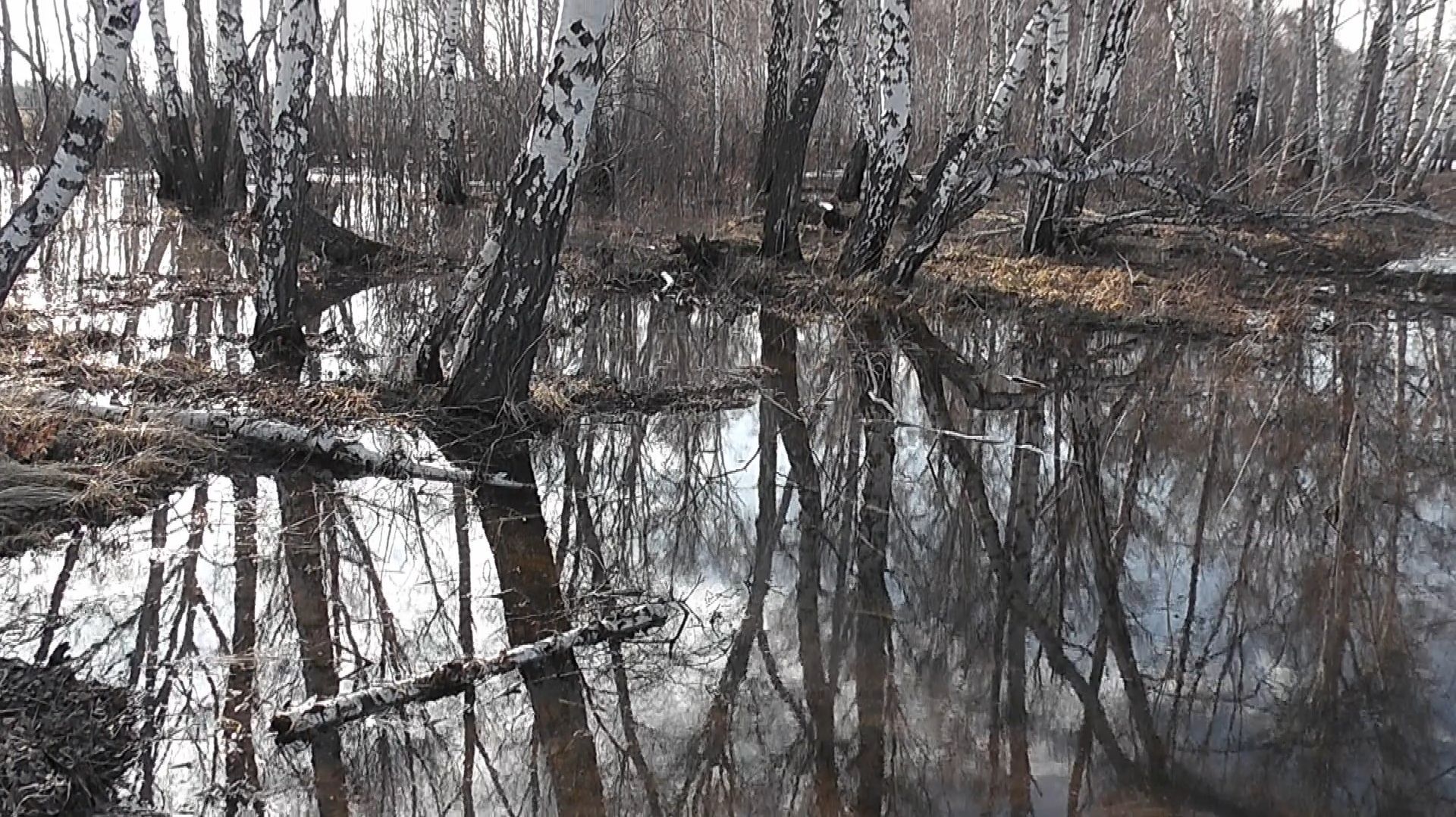 Первый выезд на природу в сезоне 2026 г.