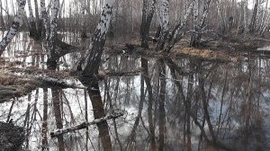 Первый выезд на природу в сезоне 2026 г.