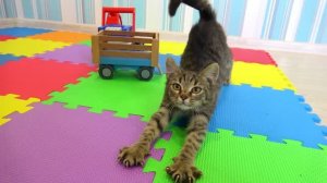 МЫ НАШЛИ КОТЕНКА - МАКС И РОМА - ВИДЕО ДЛЯ ДЕТЕЙ