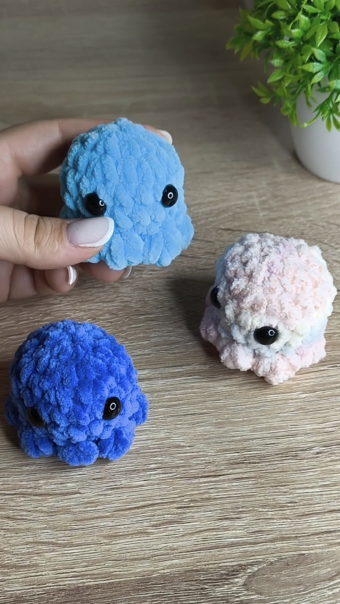 Бешеная рулетка - Медуза