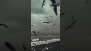 Не завидуй, не суди!!!