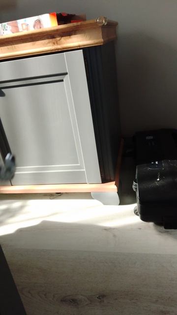 гугу гага ,😈😈😈😈😈😈😈