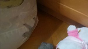 Мы потеряли всех остались только Ваня и Басик (4 часть)