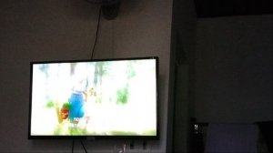 Стали смотреть кино!