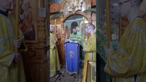 Вход Господень в Иерусалим. Евангельское  чтение.