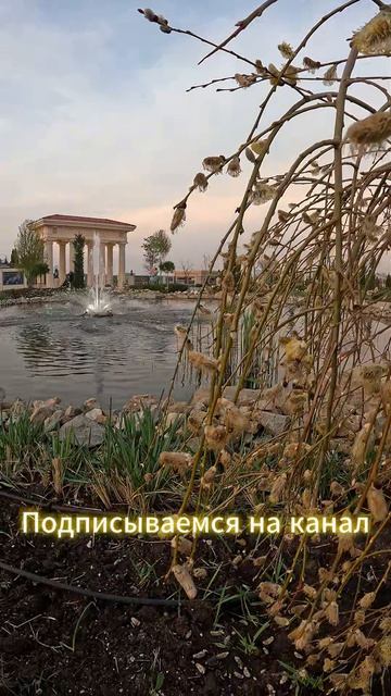 С Вербным Воскресеньем.