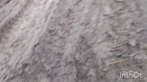 Грязно, холодно, но я сходила/как живут в русской деревне...