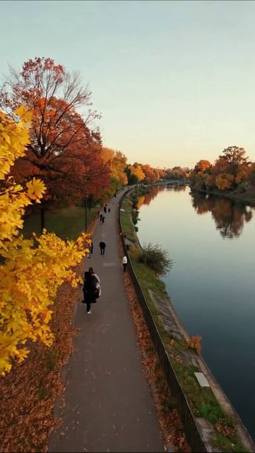 Осенний пикник у реки: наслаждаемся природой #осень #пикник #природа