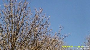 Мариуполь 🏙️ сегодня , весна будем жить.