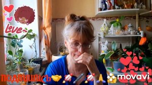 🖋️ПИРАТЫ,СУДАКОВА И Я,МОЯ МНЕНИЯ 🔥💃МОИ БУДНИ 🖋️🚀