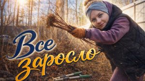 Купили заброшенный участок на болоте и построили дом/избавляюсь от дикой малины.