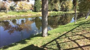 Одно неосторожное слово 6 апреля лишит денег на 7 лет.