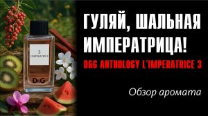 ТОПОВЫЙ ЖЕНСКИЙ АРОМАТ! (и не только) // D&G Anthology L'Imperatrice 3 Dolce&Gabbana / ОБЗОР АРОМАТА
